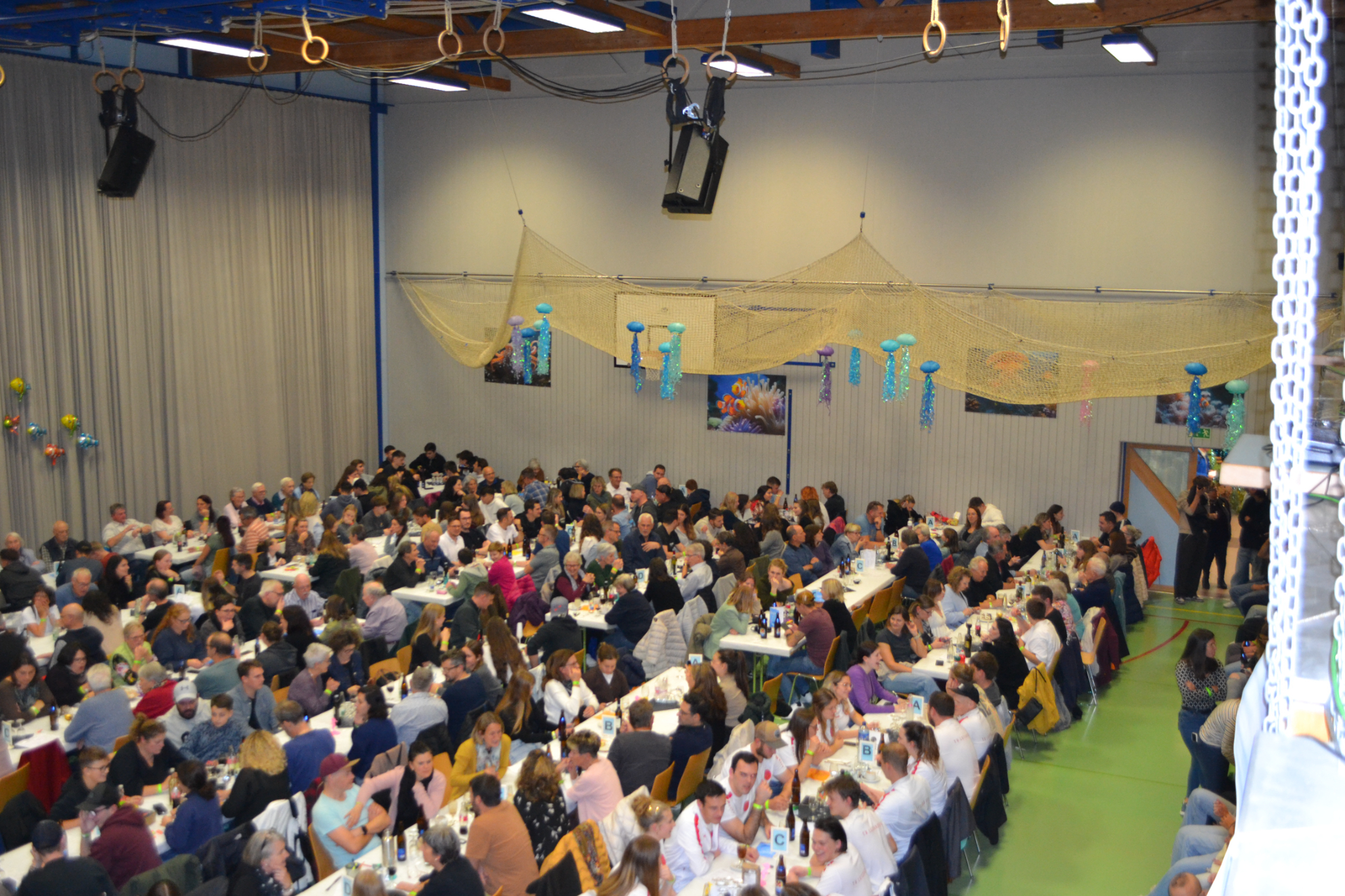 Bild2 (54)